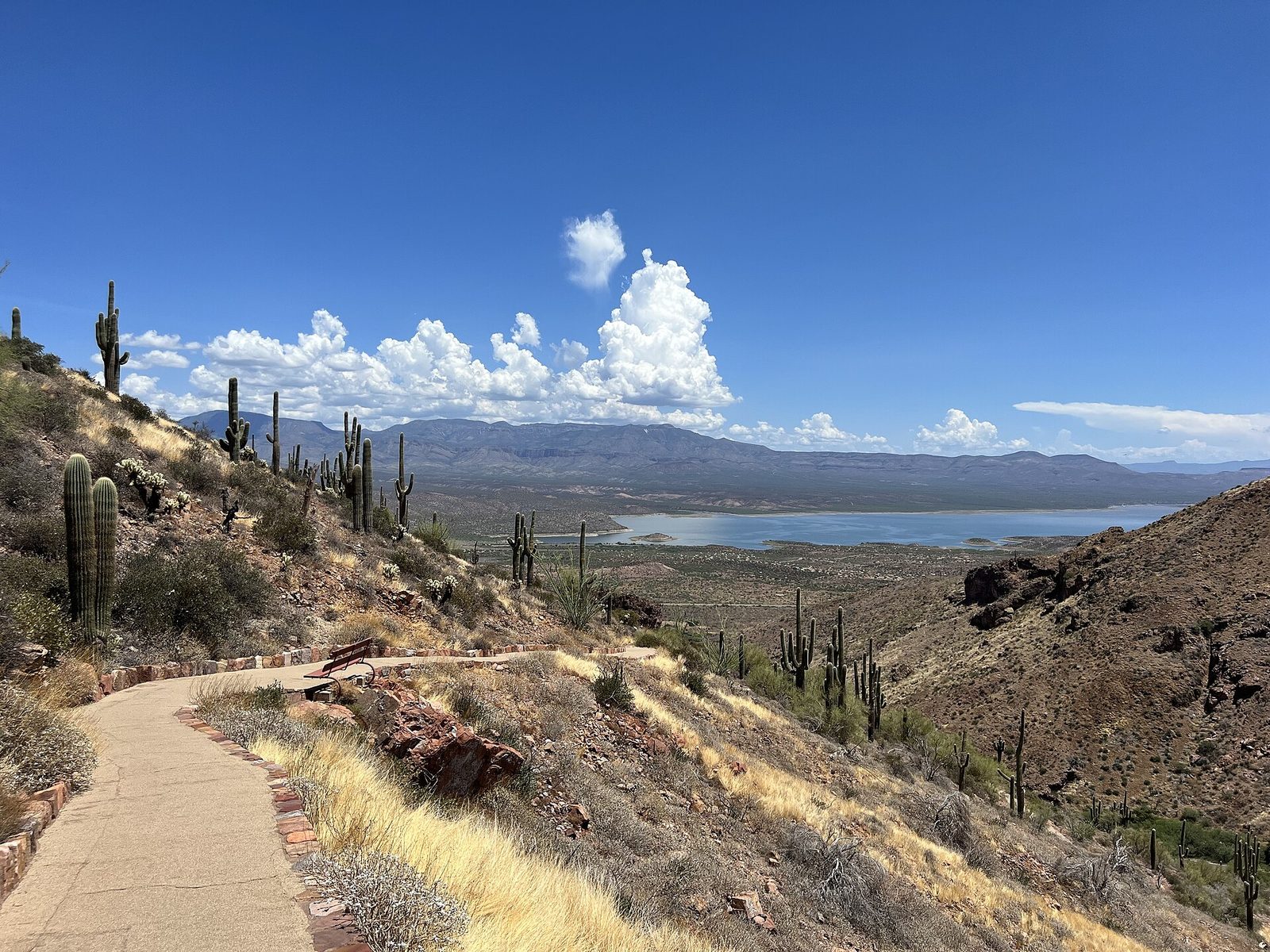 A paved path with a bench winds down a hillside of saguaros toward Roosevelt Lake and distant mountains