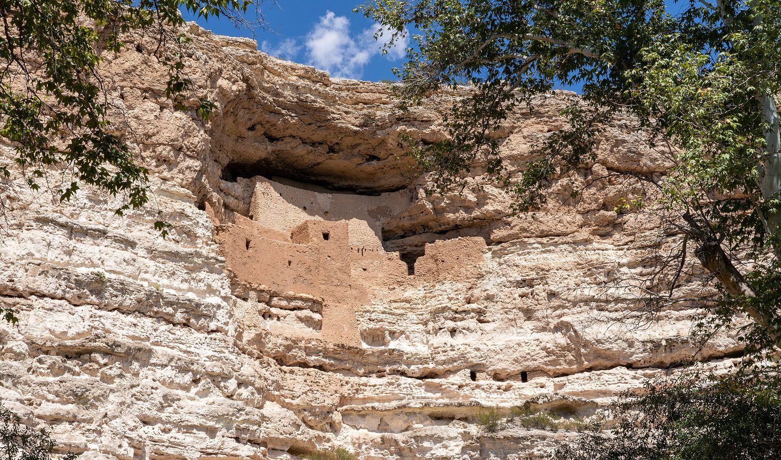 Montezuma Castle, a five-story cliff dwelling built into a pale limestone cliff, framed by sycamore branches under a blue sky
