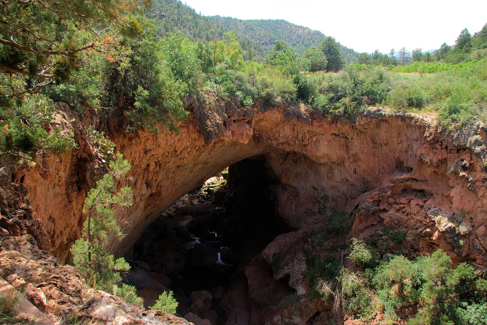 A massive natural rock bridge of reddish-brown travertine arching over a shadowy creek bed, surrounded by green trees and shrubs