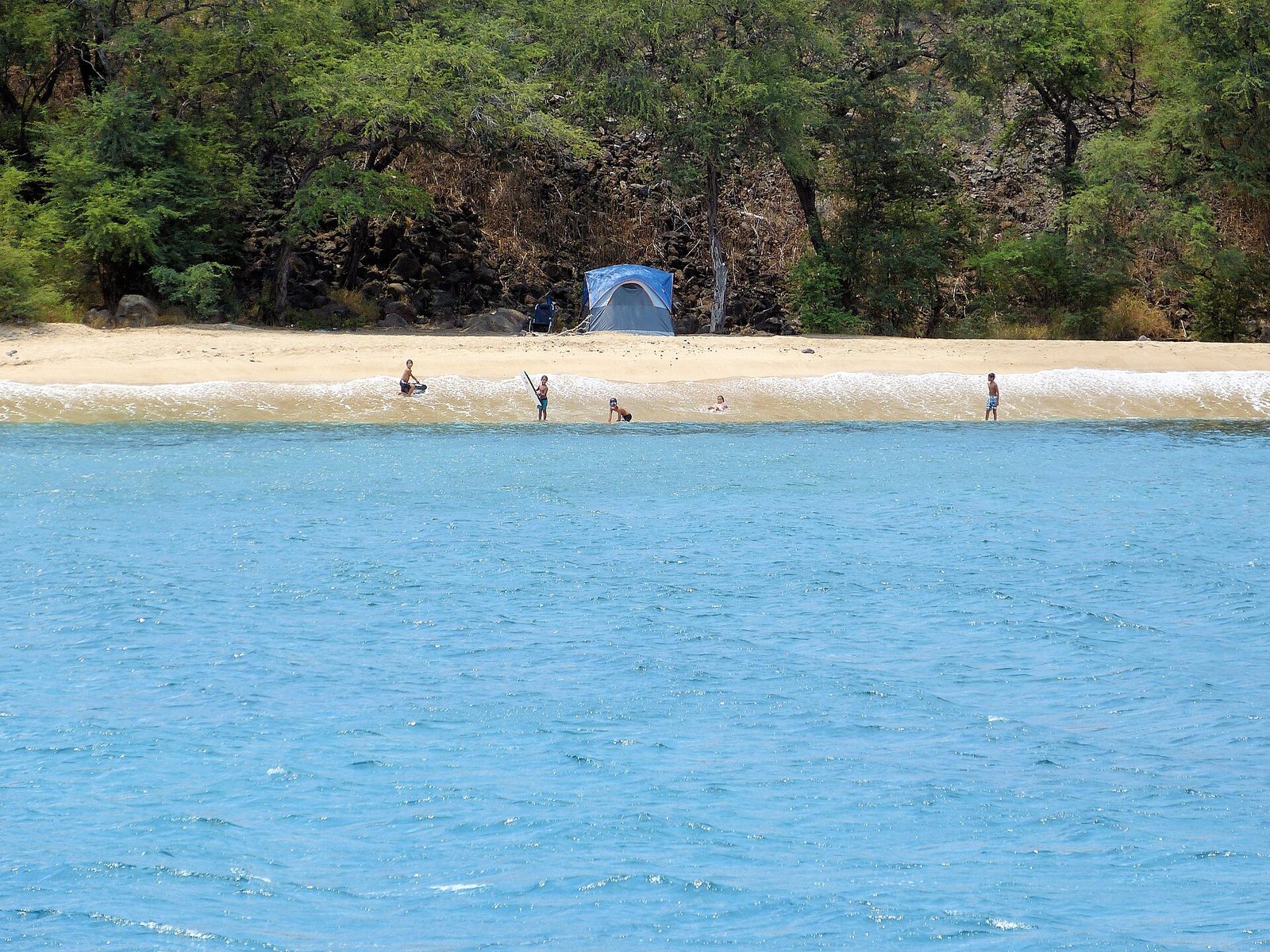 A small blue tent on a sandy beach backed by trees, with a few children playing in the shallow waves in front