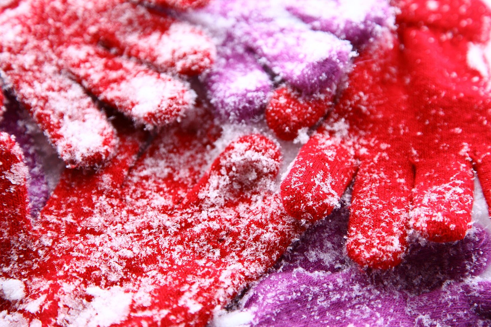 A close-up of red and purple knit gloves completely crusted with white snow