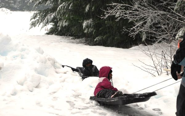 Two children in hooded snow jackets and snow pants ride black plastic sleds through deep snow under snow-covered evergreen trees while snow falls