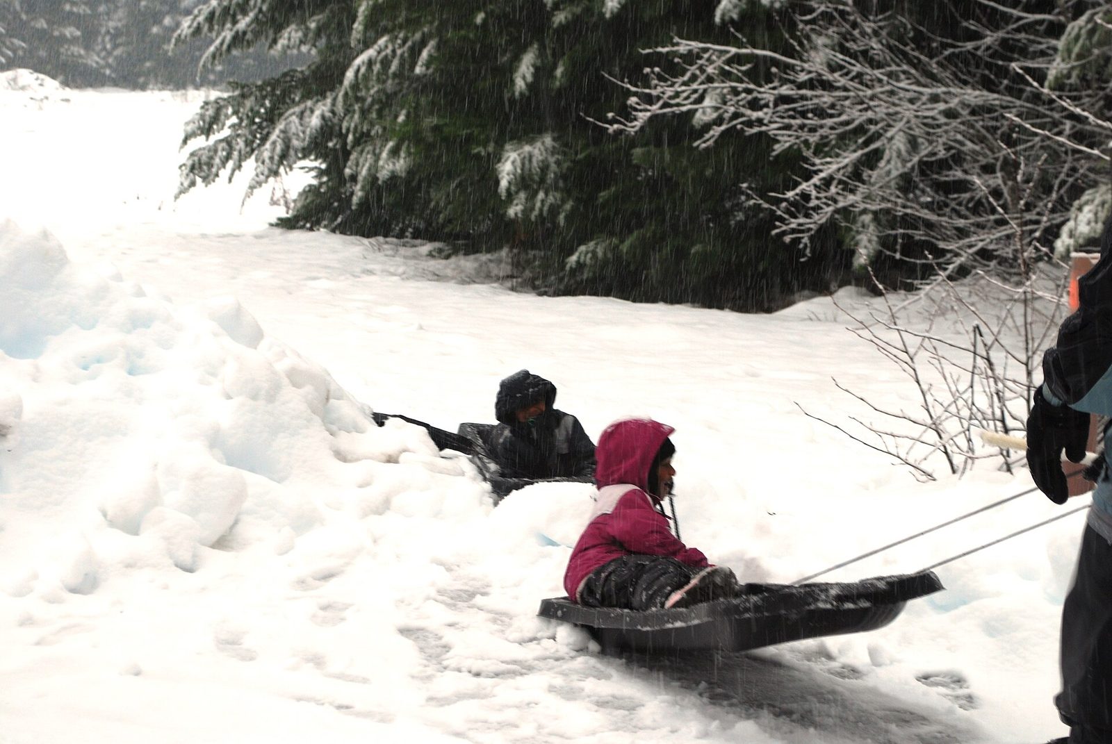 Two children in hooded snow jackets and snow pants ride black plastic sleds through deep snow under snow-covered evergreen trees while snow falls