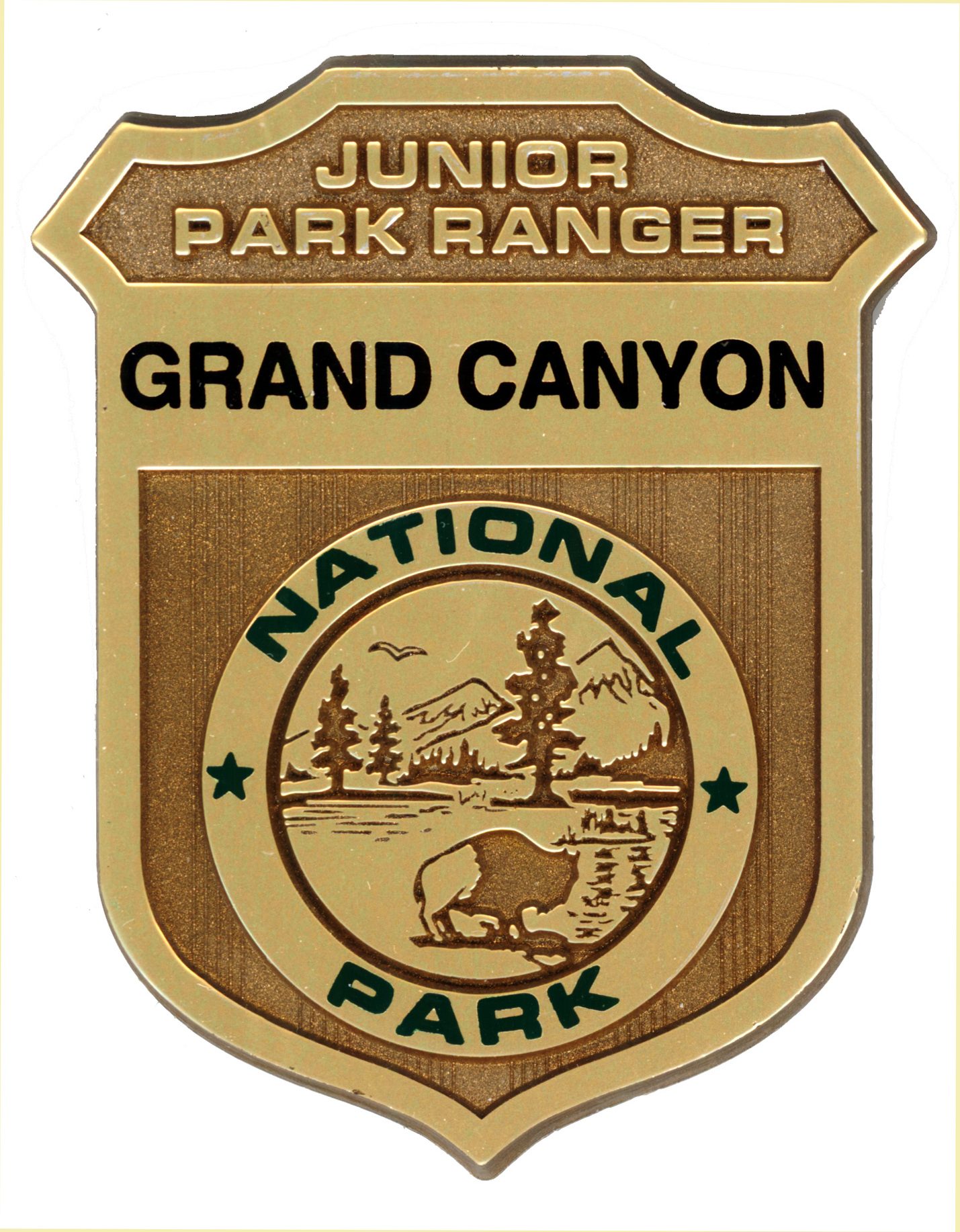 A gold and bronze Grand Canyon National Park Junior Park Ranger badge with a bison and trees in the center