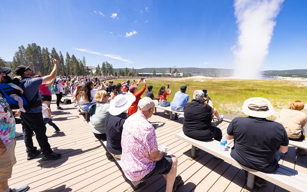 A large crowd of visitors, some holding up phones, watches Old Faithful erupt from the boardwalk benches in Yellowstone on a sunny summer day