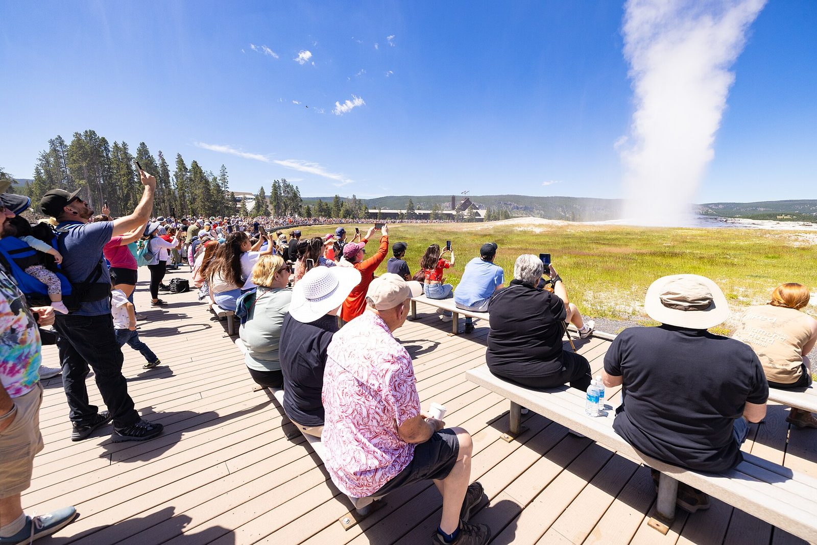 A large crowd of visitors, some holding up phones, watches Old Faithful erupt from the boardwalk benches in Yellowstone on a sunny summer day
