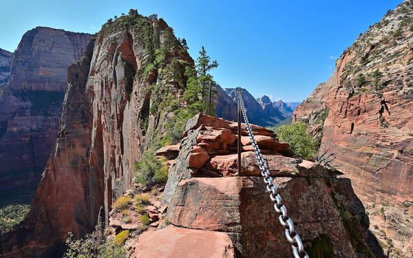 The chain-lined section of the Angels Landing Trail on a sandstone ridge above Zion Canyon under a blue sky