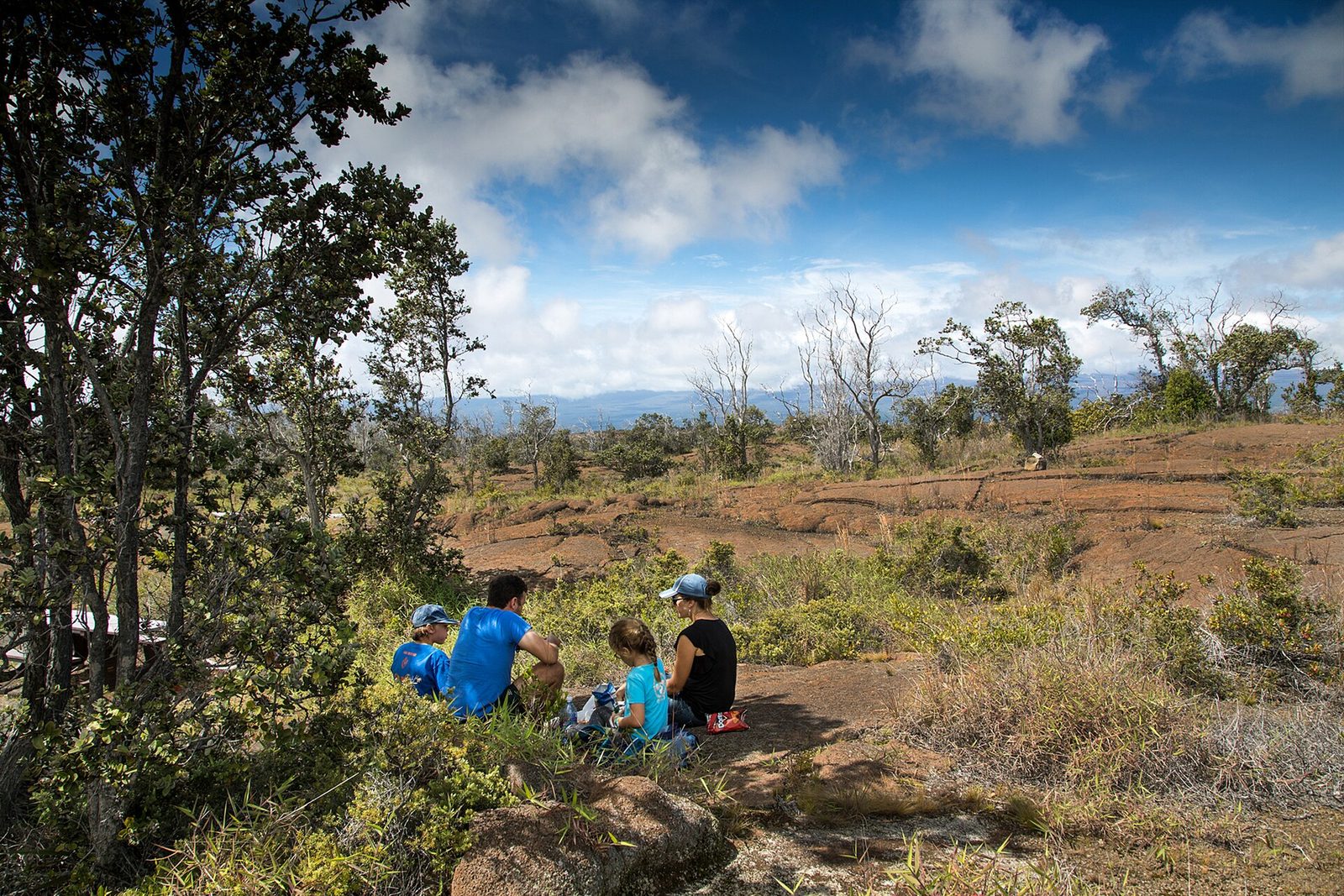 A family of four seen from behind, sitting on the ground in the shade of trees having a picnic in an open, rocky landscape under a blue sky