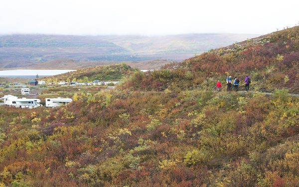 A small group of hikers in bright jackets walking a trail through autumn tundra above a campground and lake in Alaska