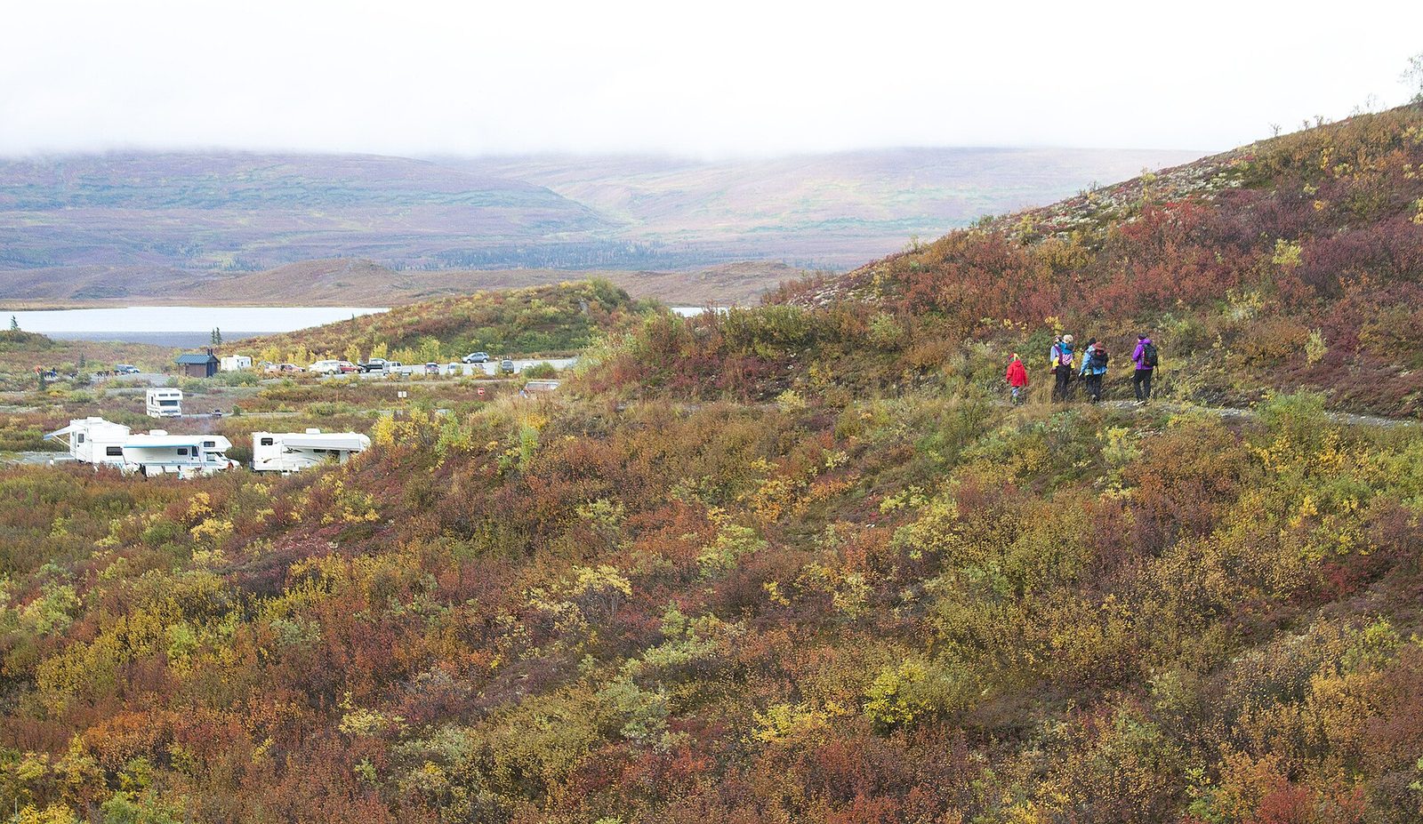 A small group of hikers in bright jackets walking a trail through autumn tundra above a campground and lake in Alaska