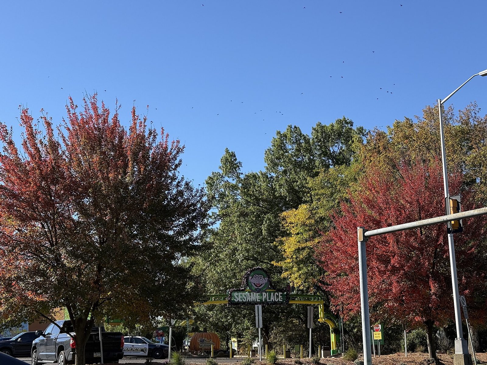 Red, orange and green autumn trees under a clear blue sky, with the green Sesame Place entrance arch and a large pumpkin decoration visible between the trees
